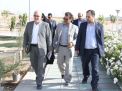 بازدید آقای دکتر رخشانی مهرمدیر کل نظارت برطرح های عمرانی وزارت علوم تحقیقات وفناوری از دانشگاه صنعتی شاهرود